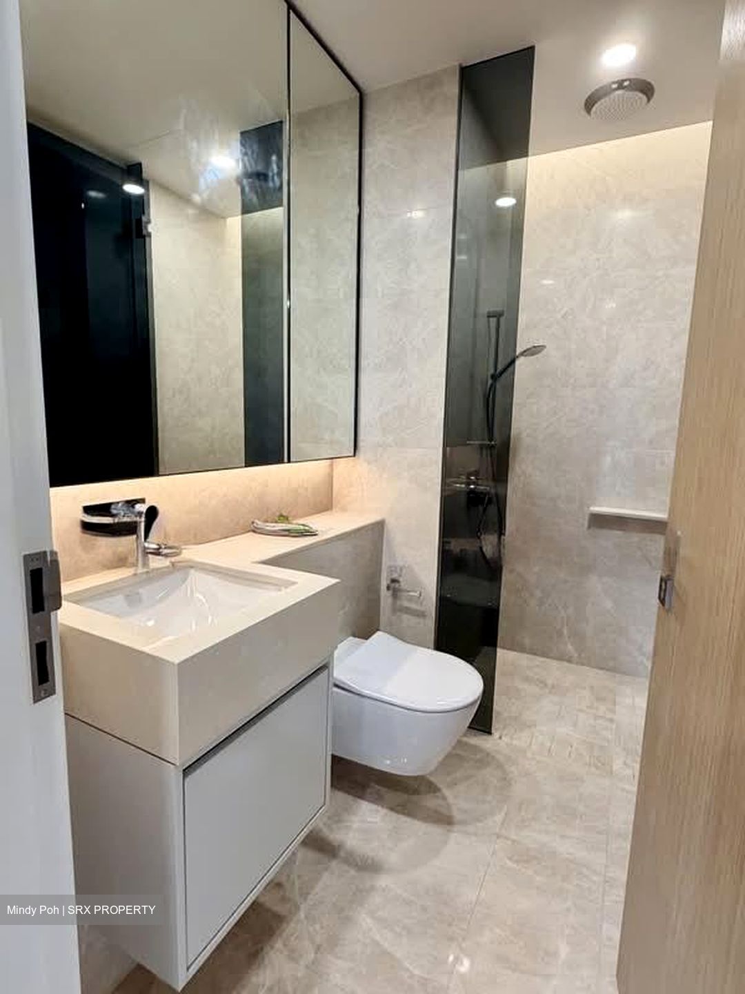Amber Park (D15), Condominium #561207901